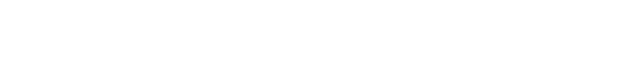 /files/Footer-Logo-YS.webp