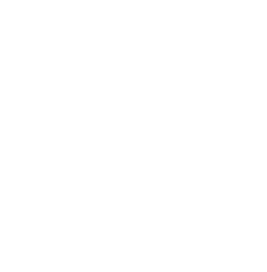 Technical-Inspection /files/Technical-Inspection.webp